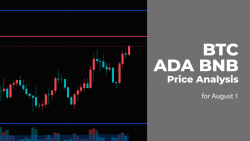 BTC, ADA and BNB Price Analysis for August 1