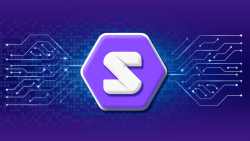 Solid P2P Streamlines Cryptocurrency Operations for Newbies