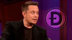 Elon Musk Says He Is "Mainly" Supporting Dogecoin