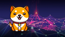 Testnet of BabyDoge Swap to Go Live Next Week