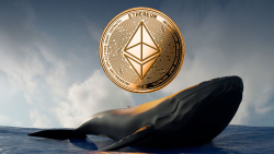 Ancient Ethereum Whale from ICO Times Returns, Transfers 145,000 ETH