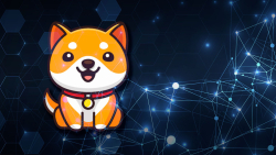 Less Than 24 Hours Before Baby Doge Testnet Launch