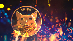 Shiba Inu (SHIB) Burn Rate Tumbles Down by 40%