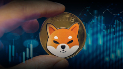 Shiba Inu: Crypto Analyst Points out Two Striking Features of Recent Rally