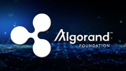 Ripple Executive Joins Algorand Foundation