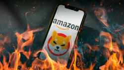 Amazon "Remains Strong" for Burning SHIB: Innovative SHIB Burner