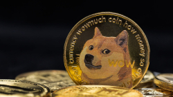DOGE Support Added by New Crypto Exchange 