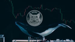 Whales Drop $33 Million in SHIB Overnight as Price Down 13%