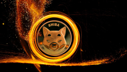 New SHIB Burn Portal Detected, While 105 Million SHIB Gets Removed