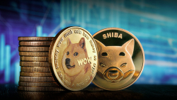 SHIB, DOGE, ETH Can Now Be Used for Payments on This US Electronics Marketplace