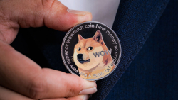 Dogecoin Now Favored by BSC Investors, Here's Why