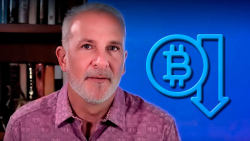Peter Schiff Expects Bitcoin Price to Dump Soon, Here's Why
