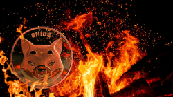 SHIB Burn Rate Spikes 256.13% as 176 Million Tokens Get Burned
