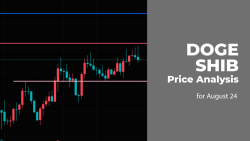DOGE and SHIB Price Analysis for August 24