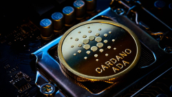 Cardano Testnet Is Looking Good and Behaves as Expected, Says Stake Pool Operator
