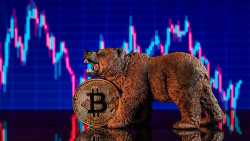 Here Is When Bitcoin Bottom Will Occur, According to Previous Bearish Cycles