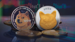 DOGE and SHIB Have Never Been So Close to Losing Their Places at Market Cap Top