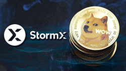 DOGE to Be Added to StormX, Dogecoin Co-founder Happy to Respond