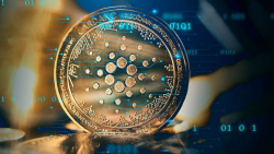 Cardano Blockchain Insights Hide Some Intriguing Stats