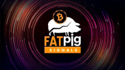 Reasons Why You Should Check out Fat Pig Signals Group