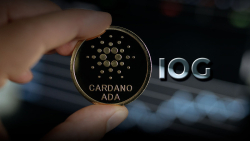 Cardano: Here's How Far Upcoming Vasil Update Has Progressed, per IOG