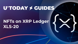 XRPL Meets NFTs: Comprehensive Guide to XLS-20 Proposal