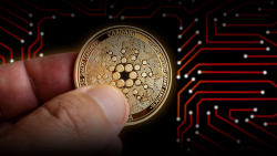 Cardano Sets New Milestone in Native Tokens Issued Following On-chain Growth in August
