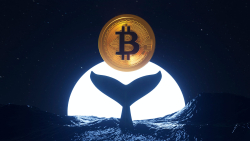 Ancient Bitcoin Whale Moves $100 Million 