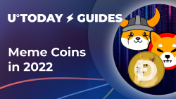 Dogecoin (DOGE), Shiba Inu Coin (SHIB), Who Else? Comprehensive Guide to Meme Coins in 2022