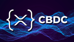XRPL Could Become Go-to Platform for CBDCs, Here's How