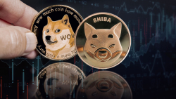 Shiba Inu-Dogecoin-Led Meme Economy Sees 16% Jump in Trading Volumes Amid Market Drop