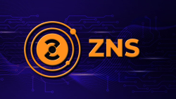 ZKSpace Launches Its Own Domain Name Service, ZNS
