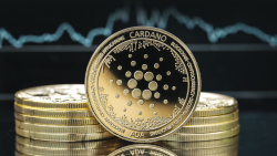Cardano Records Millions More in Transactions Since Vasil Announcement
