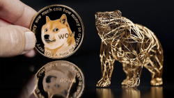 Dogecoin (DOGE) Co-founder Has Something To Say About Bear Market