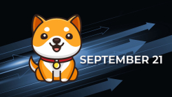 BabyDoge Team to Name Mainnet Launch on September 21
