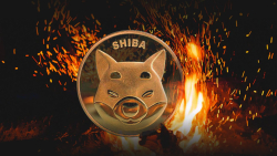 SHIB Burn Pace Spikes 1,502%, Here's How Much SHIB Was Removed