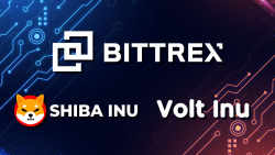 SHIB Rival Volt Inu (VOLT) Listed on Top-Tier Bittrex Exchange