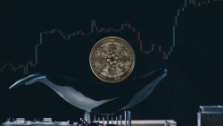 Cardano’s Big Day Arrives, Whales Grab ADA in Last-Minute Rush