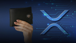Anon Wallets Move 185 Million XRP, Here's What May Be Behind This