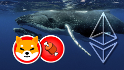 Shiba Inu's BONE Gains Solid Traction Among Ethereum Whales: Details