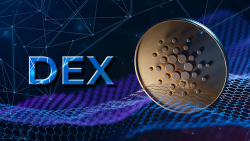 Cardano DEX Reports Vasil's Impact on Fees and Transaction Size: Details