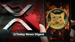XRP Lost 50% of Its 12-Day Gains, Shib Superstore to Beat August by SHIB Burned, David Gokhshtein Repeats Favorite XRP Thesis: Crypto News Digest by U.Today