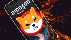 &quot;Amazon SHIB Burner&quot; Sets Record by Destroying Highest Monthly Amount This Year