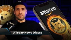 David Gokhshtein's Still Got Bags of DOGE, Cardano Creator Urges IOTA’s Co-founder to Debate, SHIB to Be Burned via Amazon in New Way: Crypto News Digest by U.Today