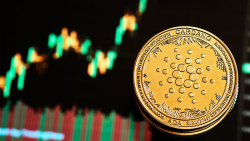 This Is Why Cardano Performed Best Among Top 10 Cryptocurrencies in Last 7 Days