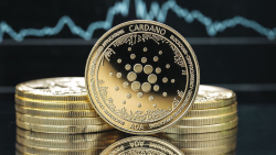 Here's Why Cardano Is Undervalued by Crypto Market