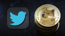 DOGE Co-Founder Says He Sees Fewer Spam Bots, Assumes Twitter’s Done Something