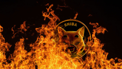 Half Billion SHIB Sent to Dead Wallets in Past Week, but Burning Is Not as It Used To Be