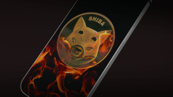 Mysterious SHIB Wallet Burns 40 Million Meme Coins, Here's Who Removed These SHIB