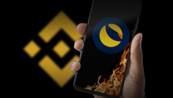 LUNC Suddenly Gains 5% in Minutes as Binance Burn Scheduled to Begin